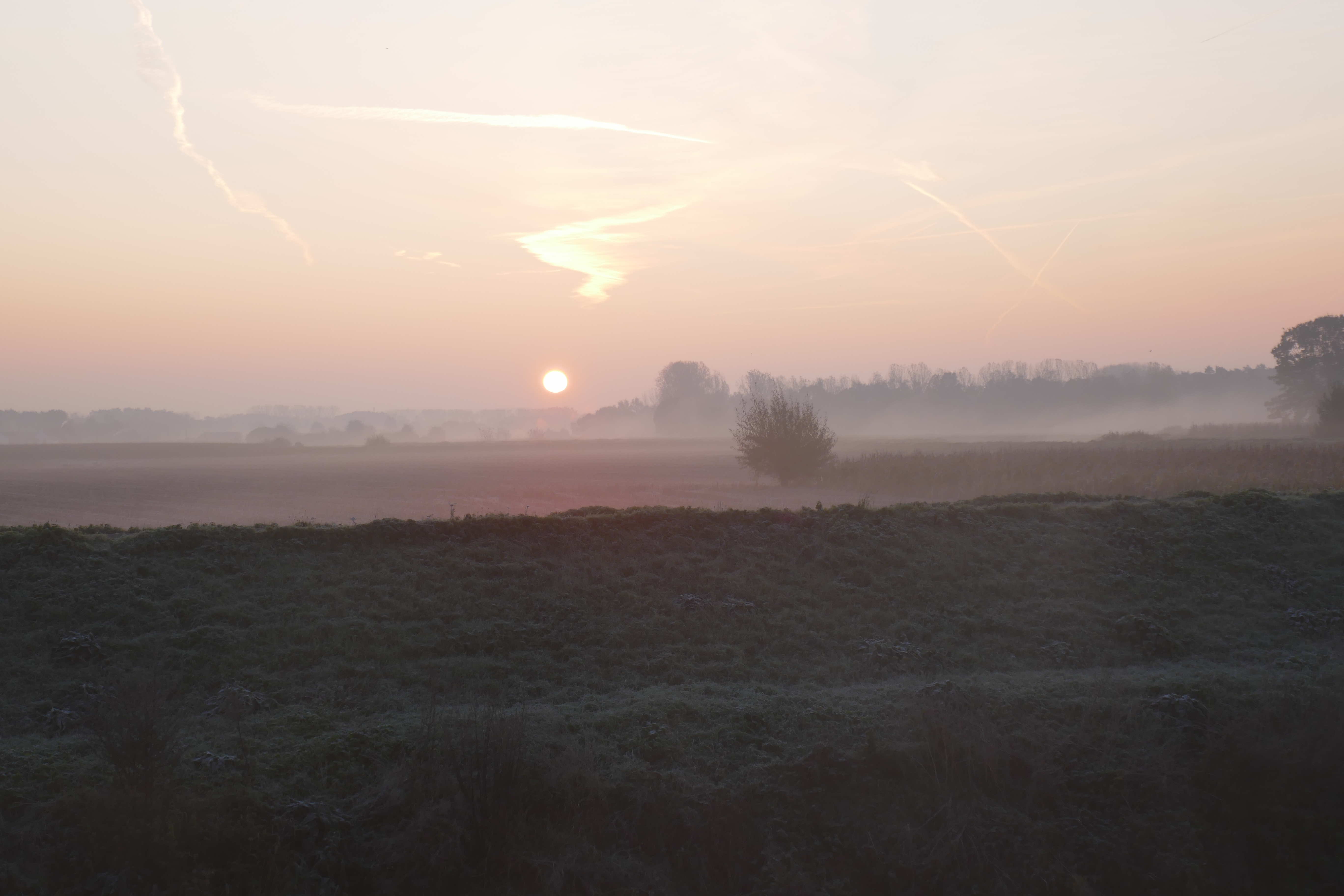Winter in WZC Dijlehof