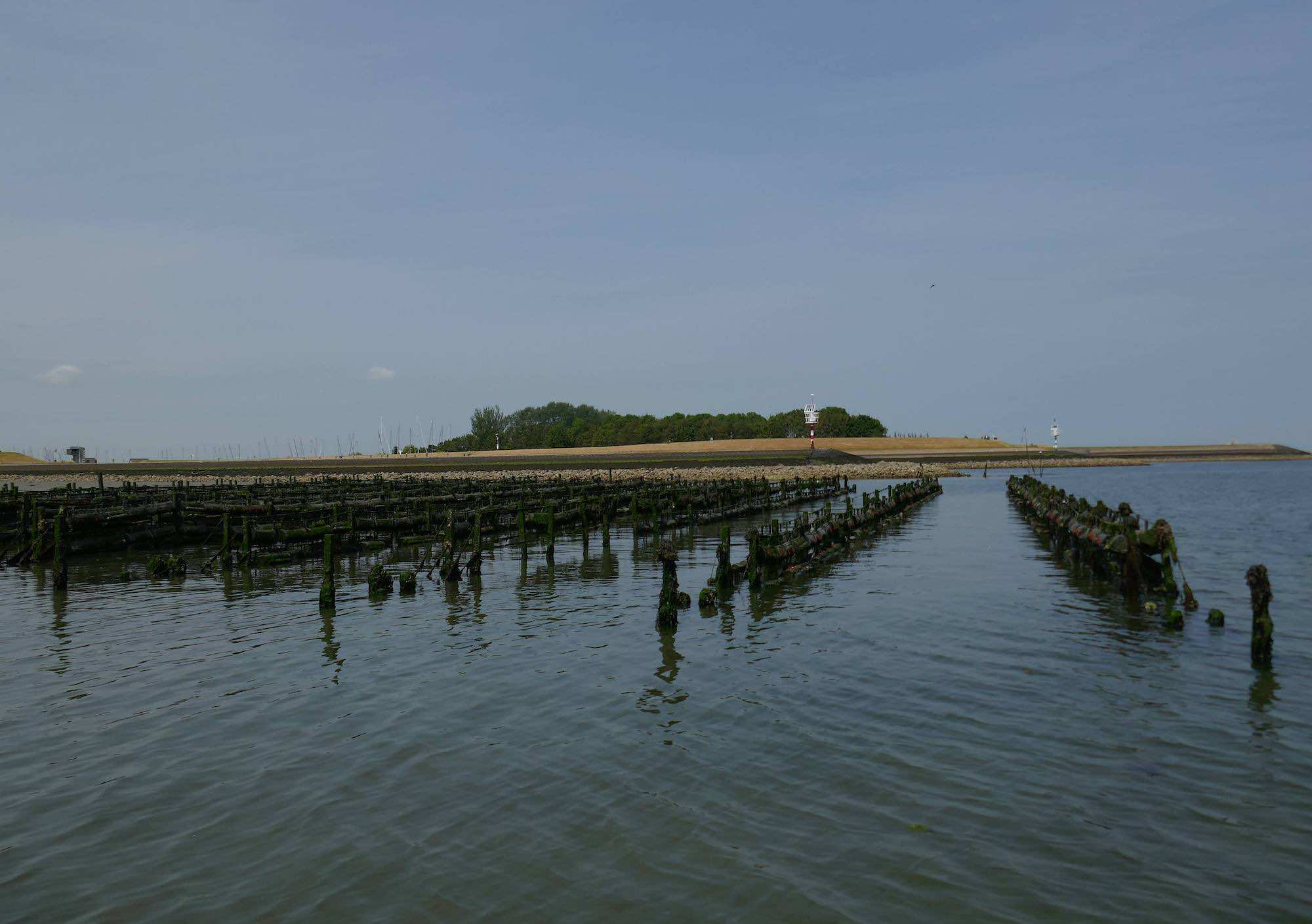2021-06-18 Oesterschelde