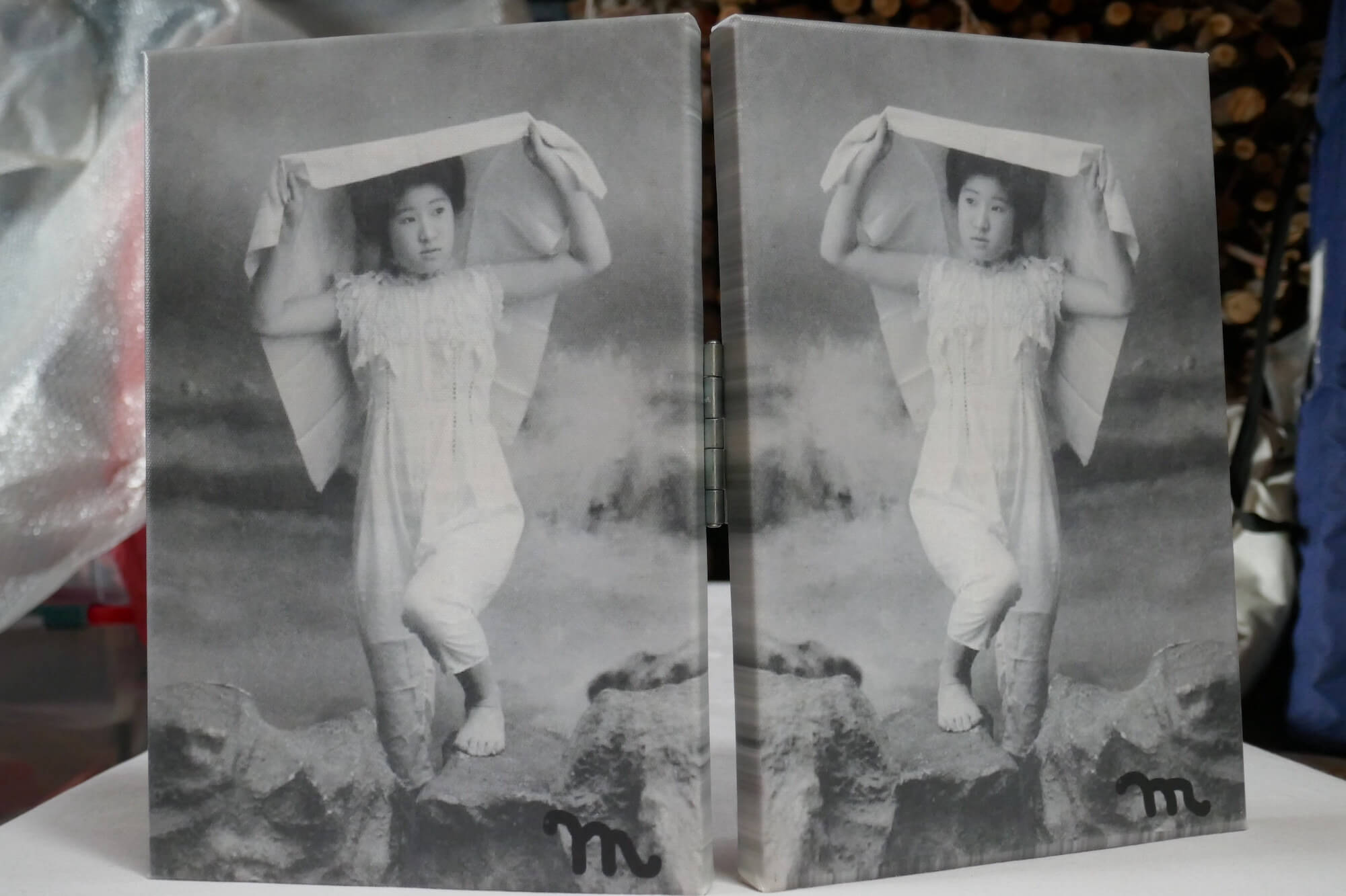 Geisha Twins
